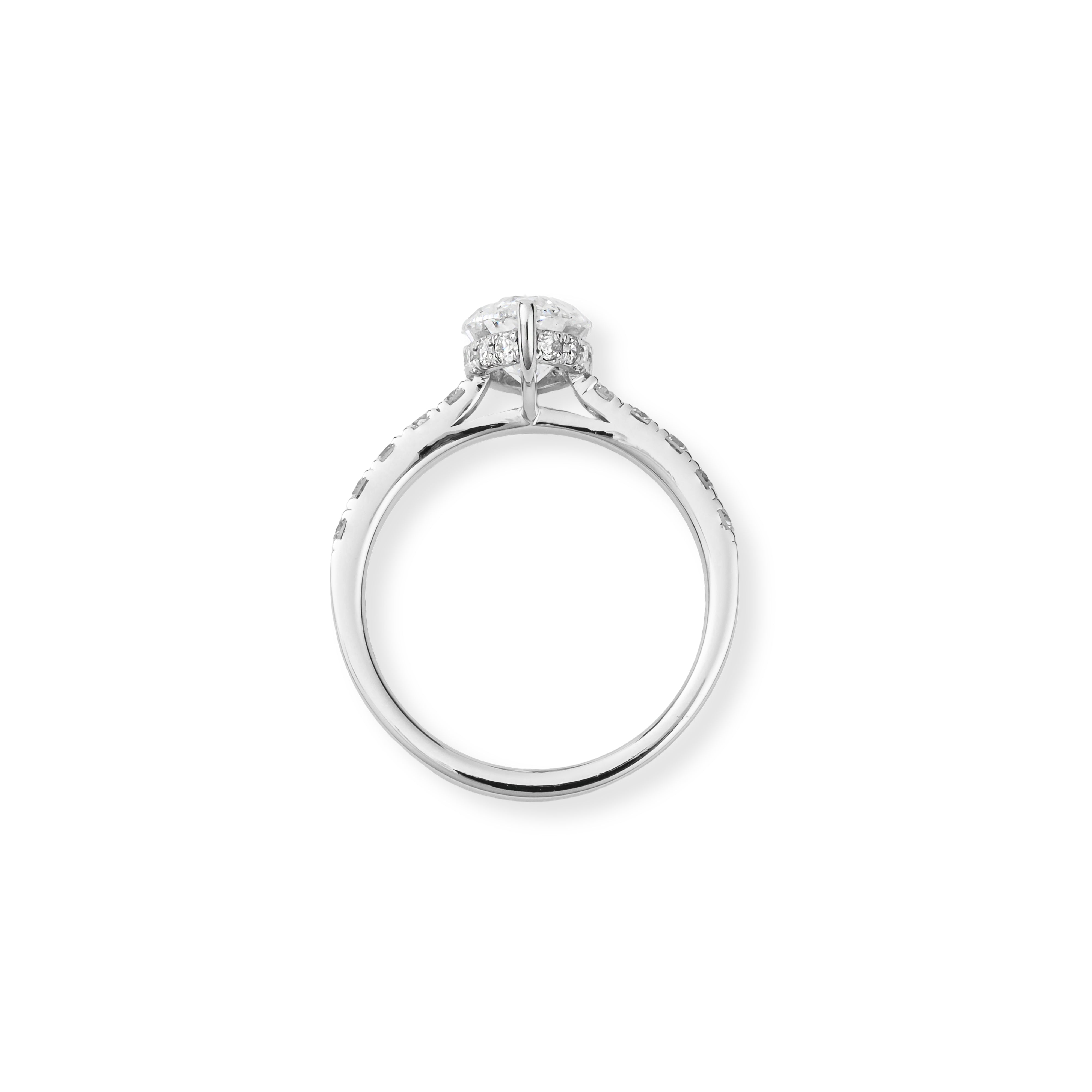 The Massive Ring “Marquis”