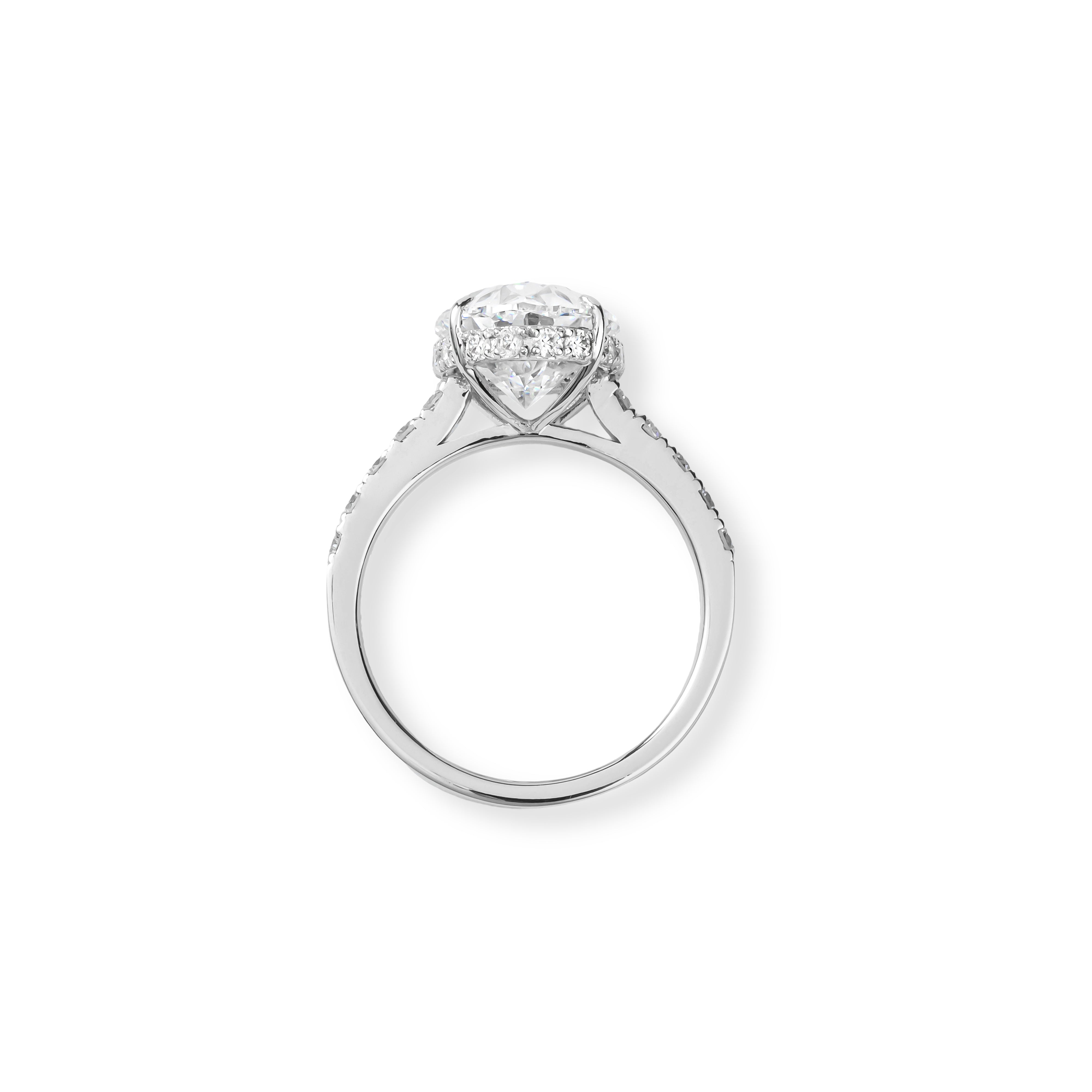 The Massive Ring “Oval”